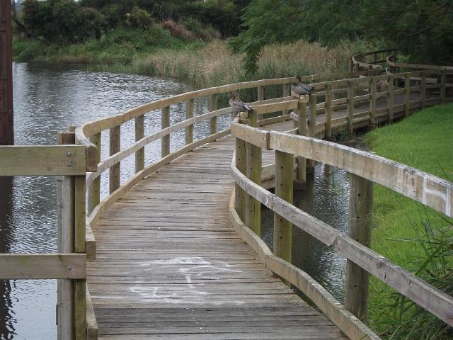 manning waters 015.JPG